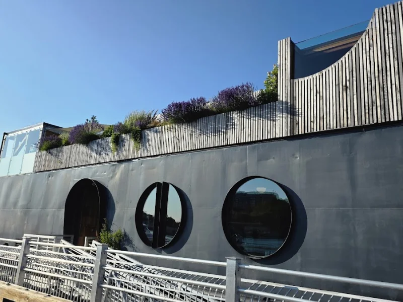 Close exterior view of HAVN Saunas with rooftop planting and circular windows