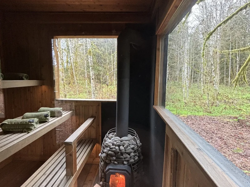 Wood-fired sauna interior with stove, benches, and forest views