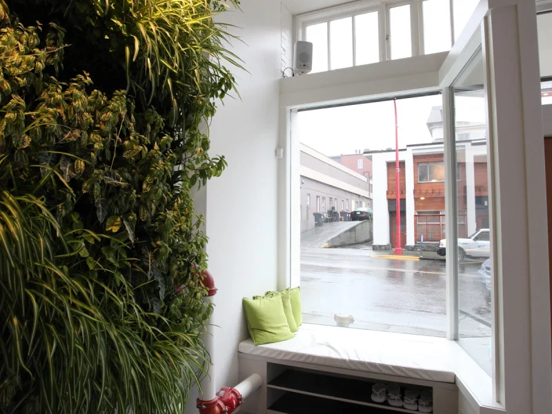 Serene wellness spa reception with vertical living plant wall and natural daylight