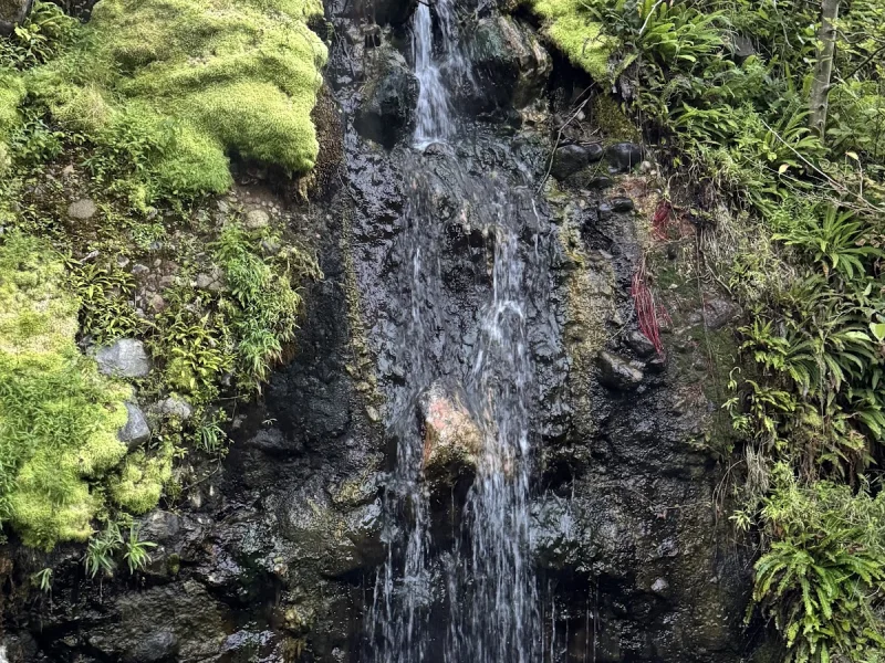 Sloquet Hotsprings Recreational Site — photo 2