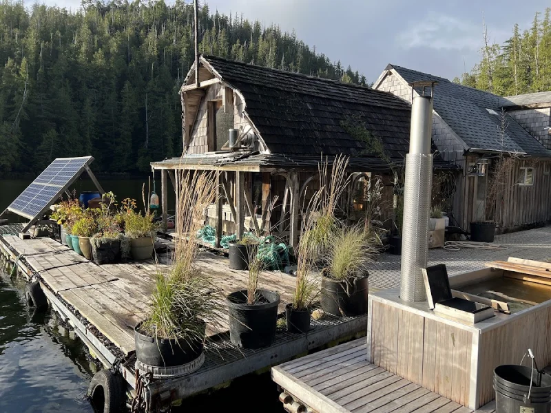 Eco-conscious bathhouse with sauna buildings, solar panel, and forest landscape