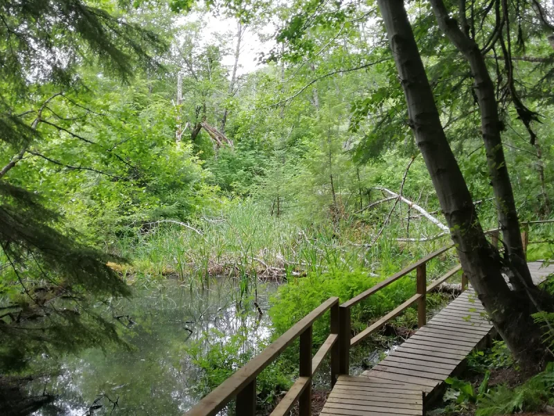 Hlgu Isgwit Hot Springs — photo 5