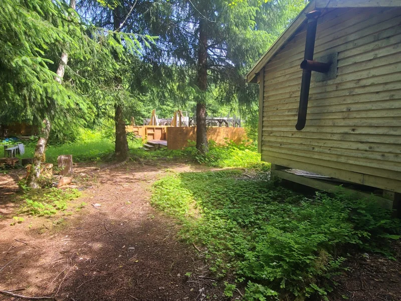 Weewanie Hot Springs Provincial Park — photo 4