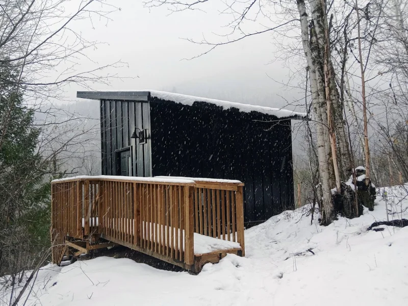 Ladybird Sauna — photo 2