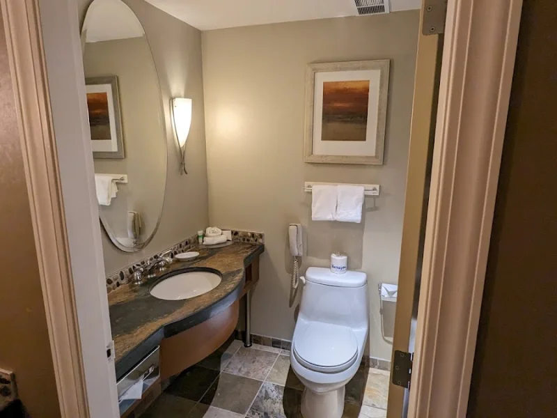 Neutral resort bathroom with vanity, toilet, and warm lighting