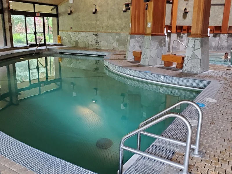 Curved indoor spa pool with natural light and stone decor