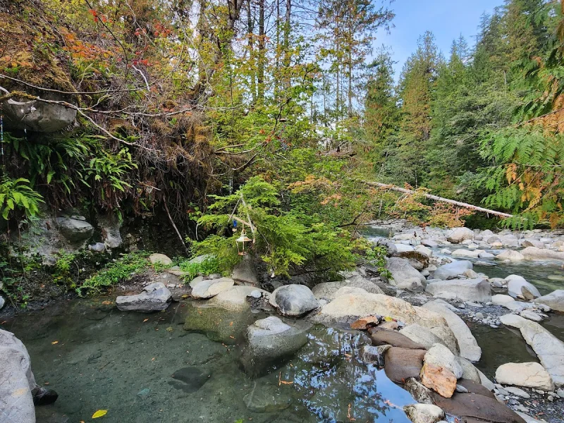 Natural forest hot spring pool with clear water and stone edges