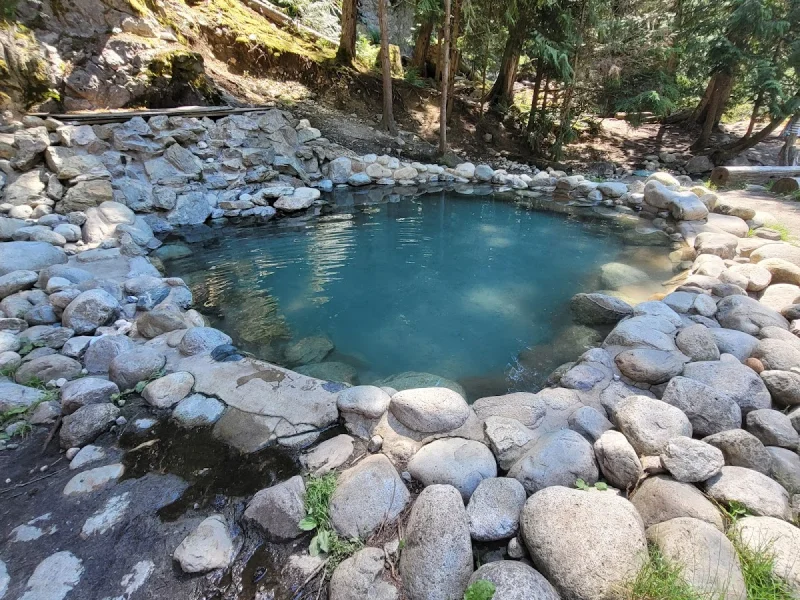 Outdoor stone hot spring pool nestled in a peaceful woodland setting