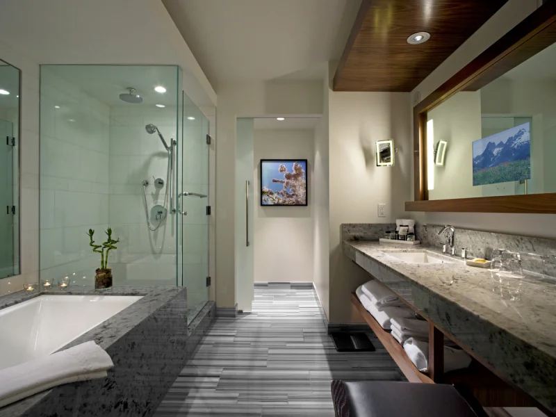 Spa bathroom with large frameless glass shower, marble counters, and luxe fixtures