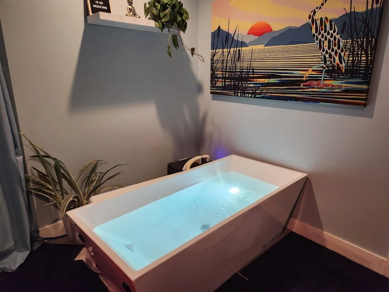 Private cold plunge room with modern tub and spa decor