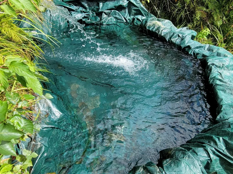 Narrow tarp-lined hot spring pool in a lush forested wilderness spa setting