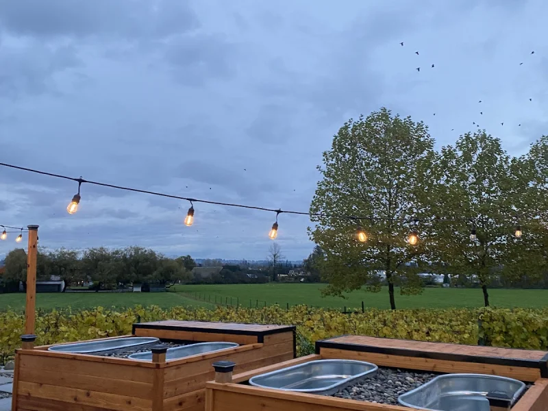 Outdoor cold plunge spa area with twin tubs and open evening sky