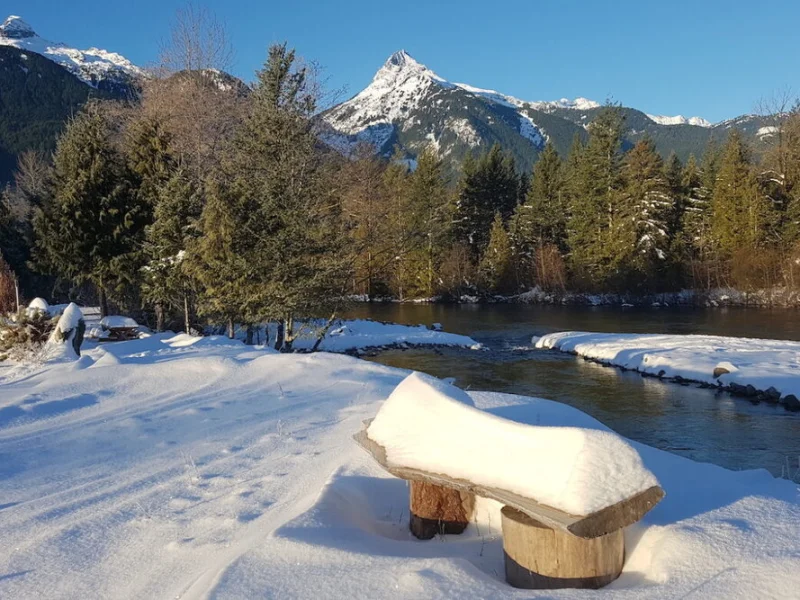 Snowy mountain river view with a bench in a serene winter forest